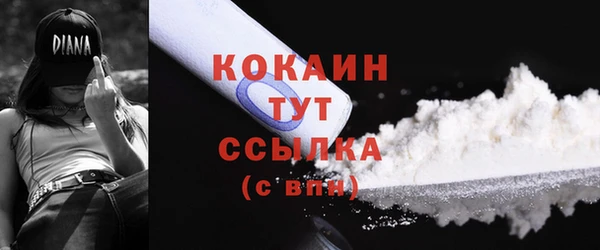 сатива Беломорск