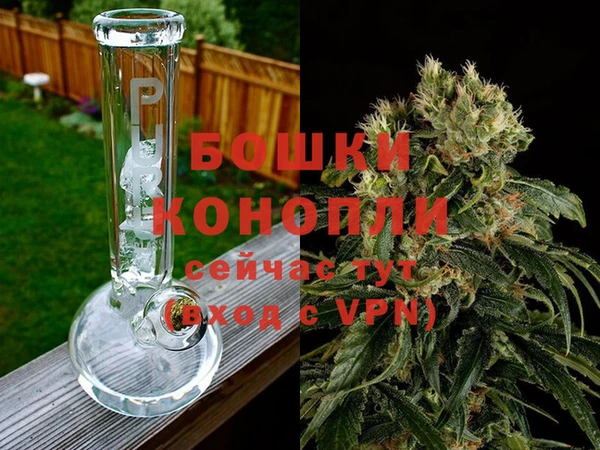 первитин Белокуриха
