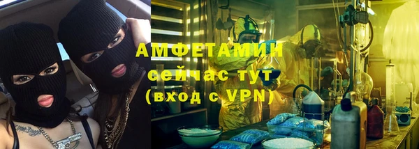 сатива Беломорск