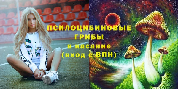 первитин Белокуриха