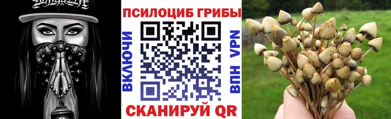 Галлюциногенные грибы мицелий  сколько стоит  Горно-Алтайск 
