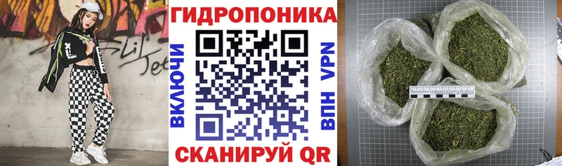 Марихуана ГИДРОПОН Горно-Алтайск